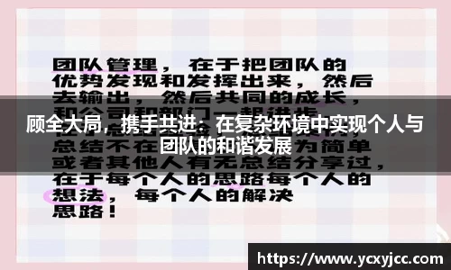 顾全大局，携手共进：在复杂环境中实现个人与团队的和谐发展